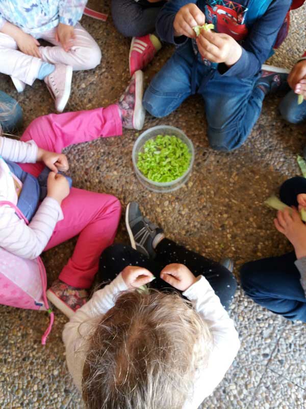 Actividades de Comedor en CEIP Los Guindos 2017 2