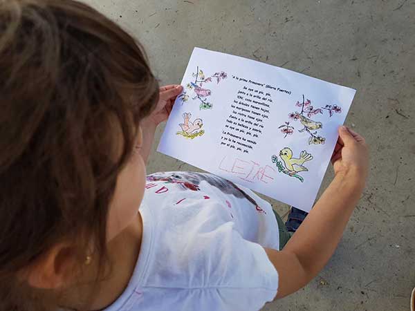 Semana Cultural en CEIP José Calderón 2017 2