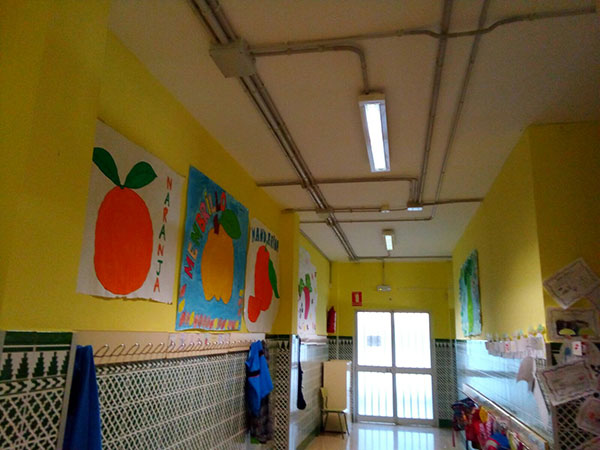 Actividad Fruta CEIP Francisco de Quevedo 2017 4